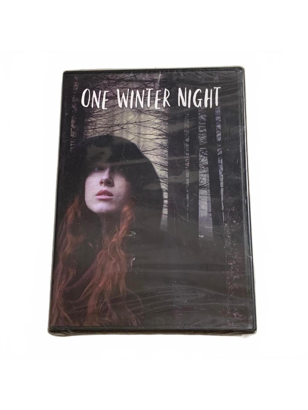 One Winter Night DVD 2019 Supernatural Mystery Horror Movie NR 129 min NEW
